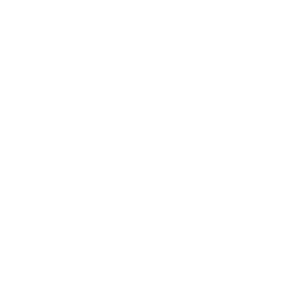 Lane Four Logo White